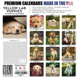Yellow Labrador Retriever Puppies Wall Calendar 2027 - 12" x 12" Monthly Adorable & Playful Yellow Lab Puppy Breed Calendar