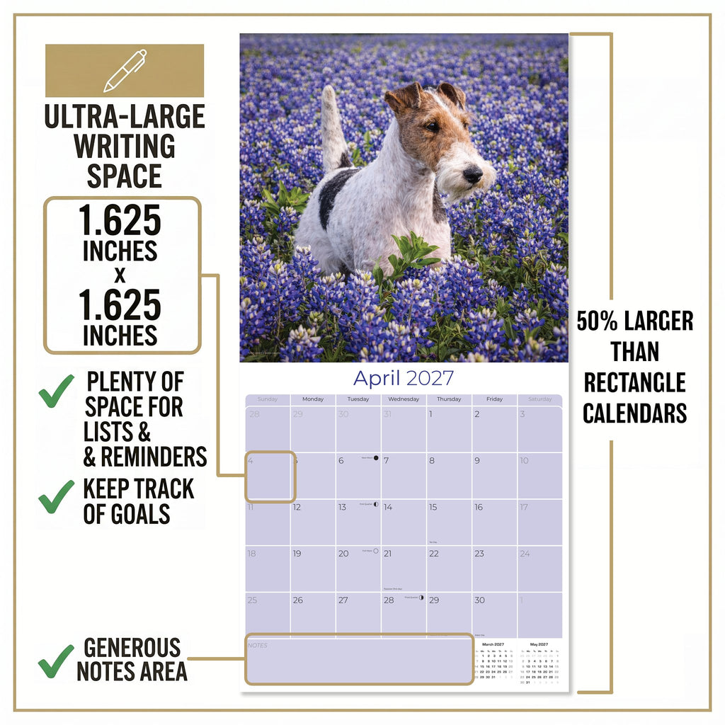Fox Terrier (Wirehaired) Wall Calendar 2027 - 12" x 12" Monthly Spirited Wire Hair Terrier Dog Breed Calendar