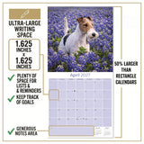Fox Terrier (Wirehaired) Wall Calendar 2027 - 12" x 12" Monthly Spirited Wire Hair Terrier Dog Breed Calendar