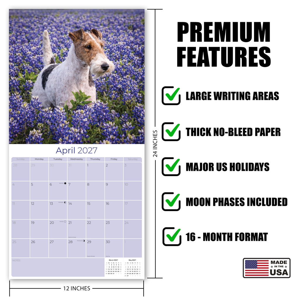 Fox Terrier (Wirehaired) Wall Calendar 2027 - 12" x 12" Monthly Spirited Wire Hair Terrier Dog Breed Calendar