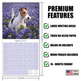 Fox Terrier (Wirehaired) Wall Calendar 2027 - 12" x 12" Monthly Spirited Wire Hair Terrier Dog Breed Calendar