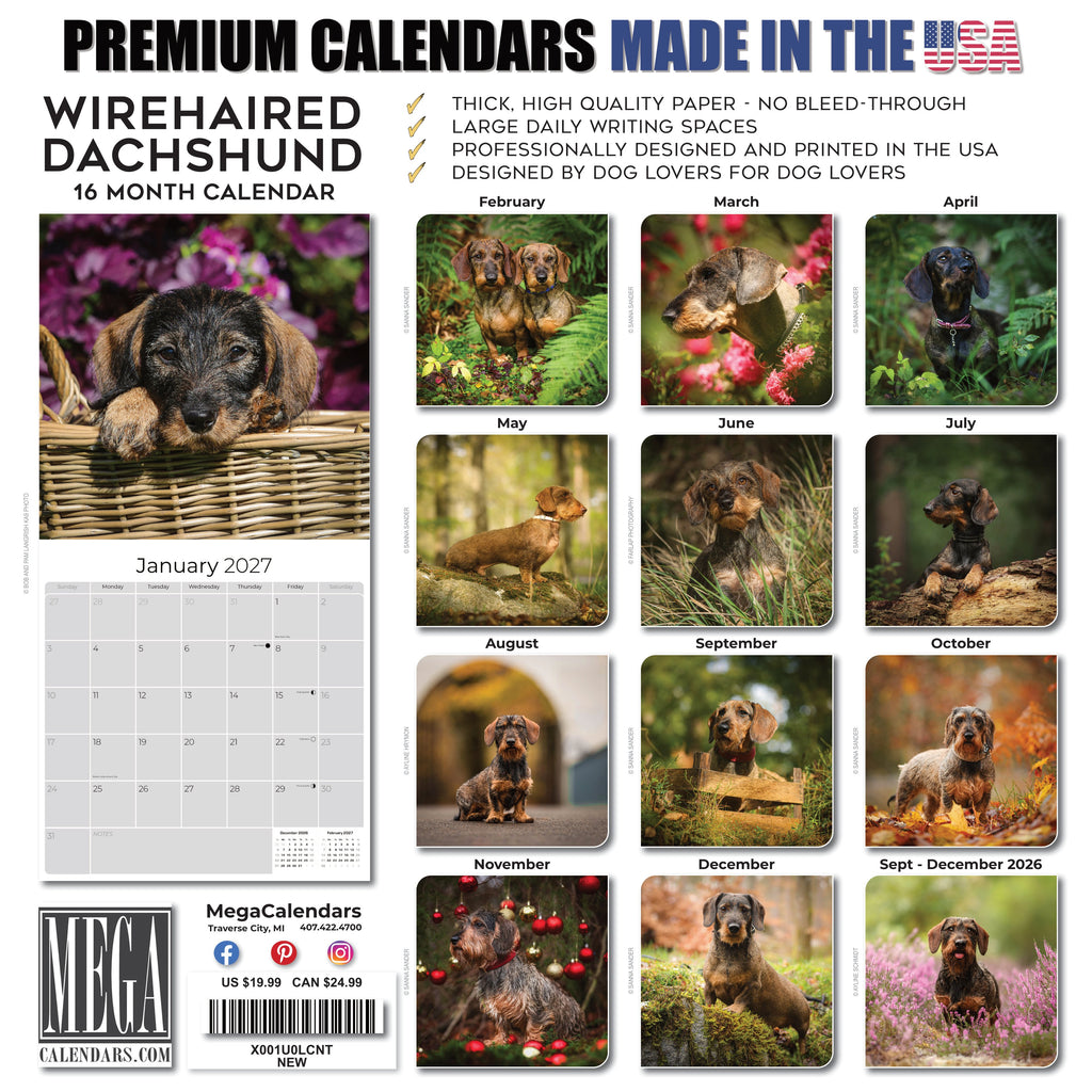 Wirehaired Dachshund Wall Calendar 2027 - 12" x 12" Monthly Clever & Gritty Wire Coat Hound Breed Calendar