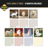 American Eskimo Dog Wall Calendar 2027 - 12" x 12" Monthly Spitz Breed & White Eskie Dog Calendar