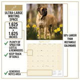 Mastiff Wall Calendar 2027 - 12" x 12" Monthly Courageous Giant & Heavy Guard Dog Breed Calendar
