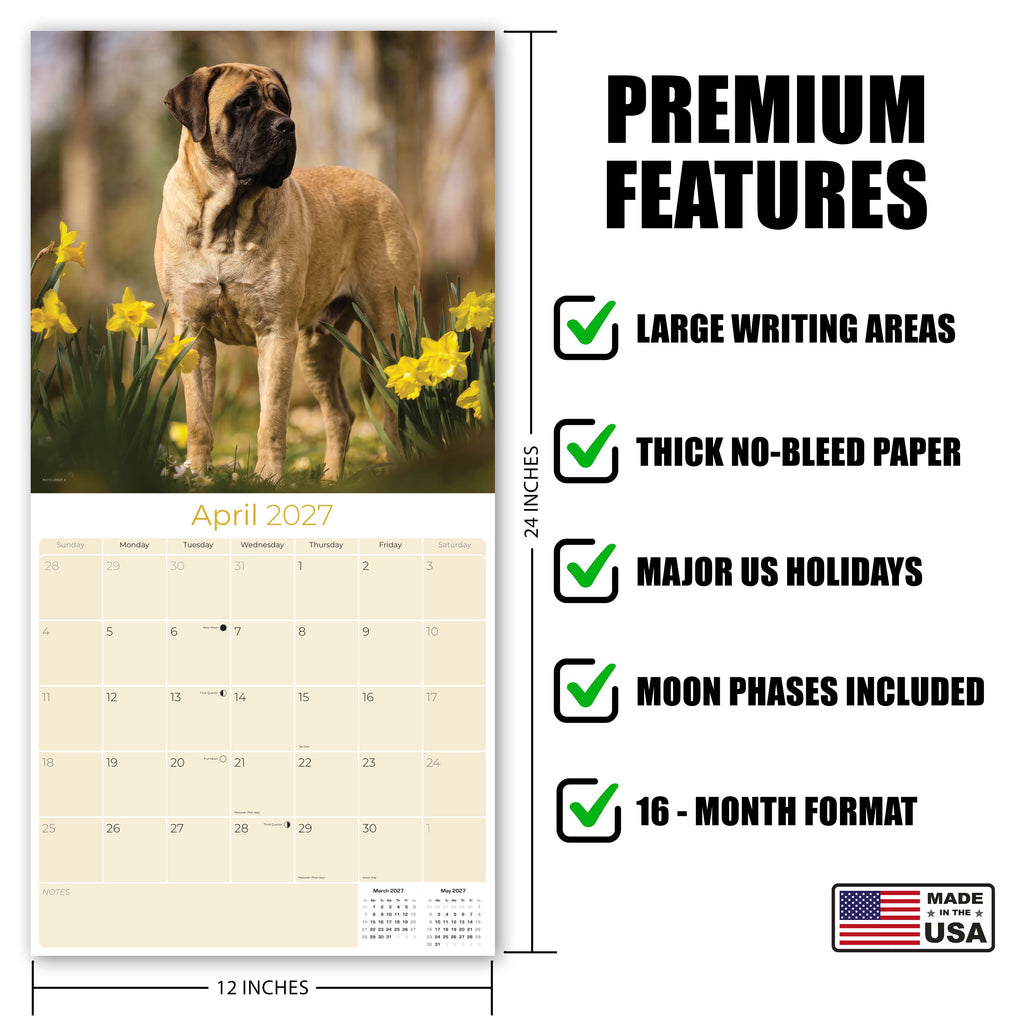Mastiff Wall Calendar 2027 - 12" x 12" Monthly Courageous Giant & Heavy Guard Dog Breed Calendar