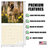 Mastiff Wall Calendar 2027 - 12" x 12" Monthly Courageous Giant & Heavy Guard Dog Breed Calendar