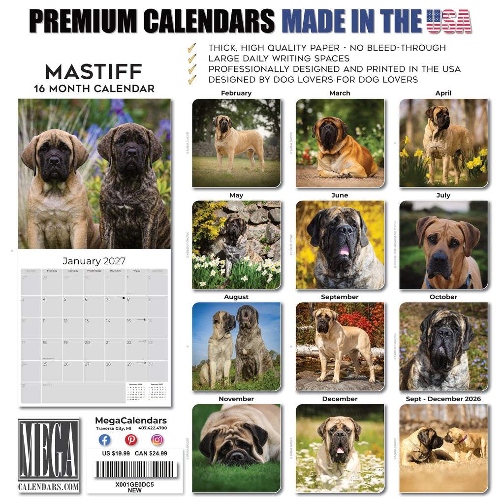 Mastiff Wall Calendar 2027 - 12" x 12" Monthly Courageous Giant & Heavy Guard Dog Breed Calendar