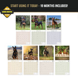 Miniature Pinscher Wall Calendar 2027 - 12" x 12" Monthly Spirited Elegant King of Toys Dog Breed Calendar