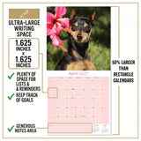 Miniature Pinscher Wall Calendar 2027 - 12" x 12" Monthly Spirited Elegant King of Toys Dog Breed Calendar
