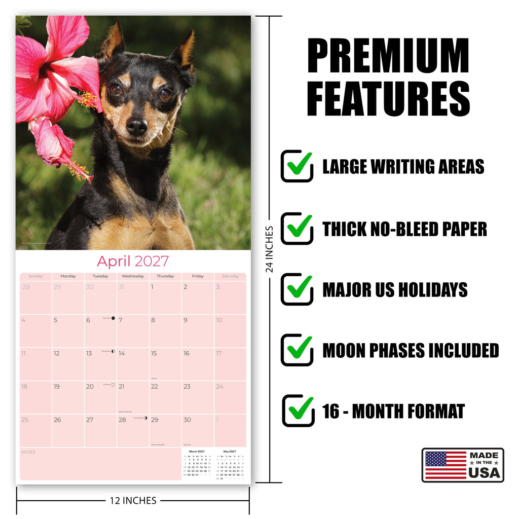Miniature Pinscher Wall Calendar 2027 - 12" x 12" Monthly Spirited Elegant King of Toys Dog Breed Calendar