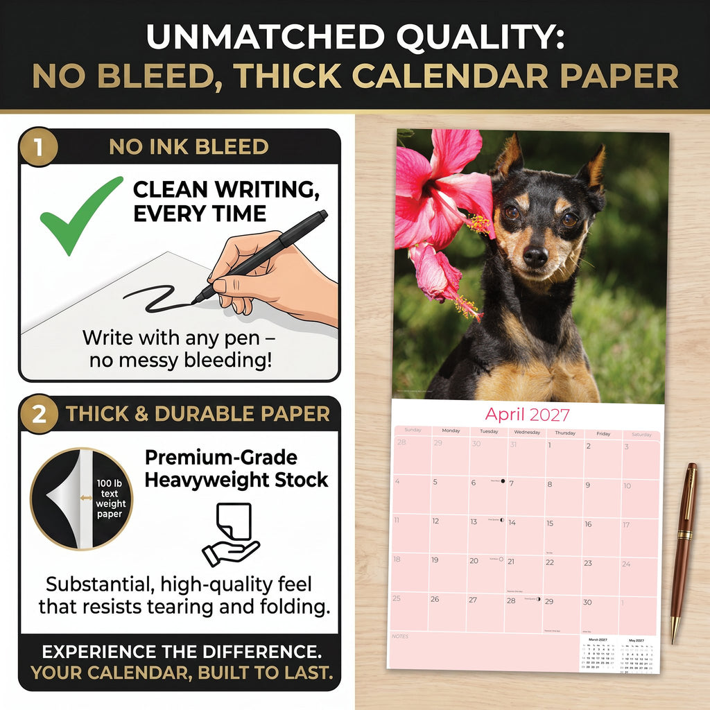 Miniature Pinscher Wall Calendar 2027 - 12" x 12" Monthly Spirited Elegant King of Toys Dog Breed Calendar