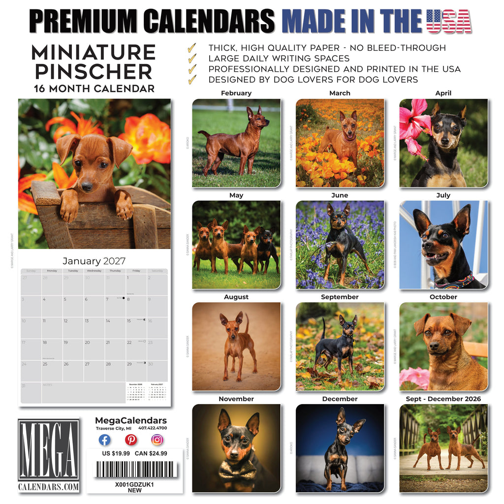Miniature Pinscher Wall Calendar 2027 - 12" x 12" Monthly Spirited Elegant King of Toys Dog Breed Calendar