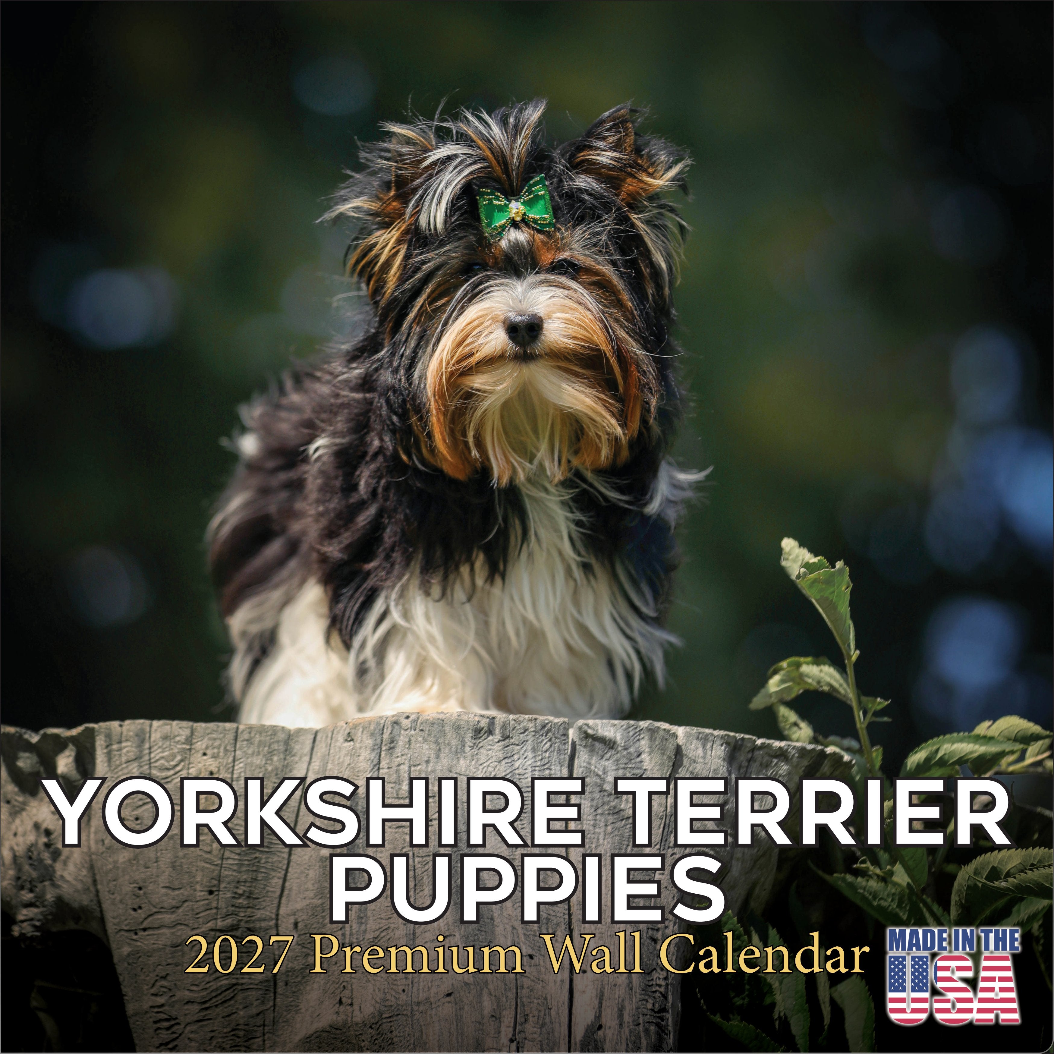 Yorkshire Terrier Puppies Wall Calendar 2027 - 12