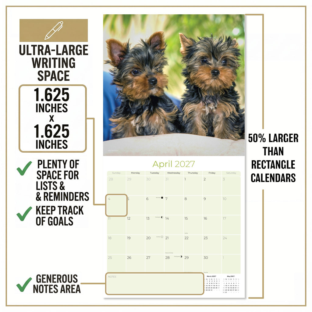 Yorkshire Terrier Puppies Wall Calendar 2027 - 12" x 12" Monthly Cute Playful Silky Toy Dog Breed Calendar