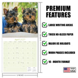 Yorkshire Terrier Puppies Wall Calendar 2027 - 12" x 12" Monthly Cute Playful Silky Toy Dog Breed Calendar