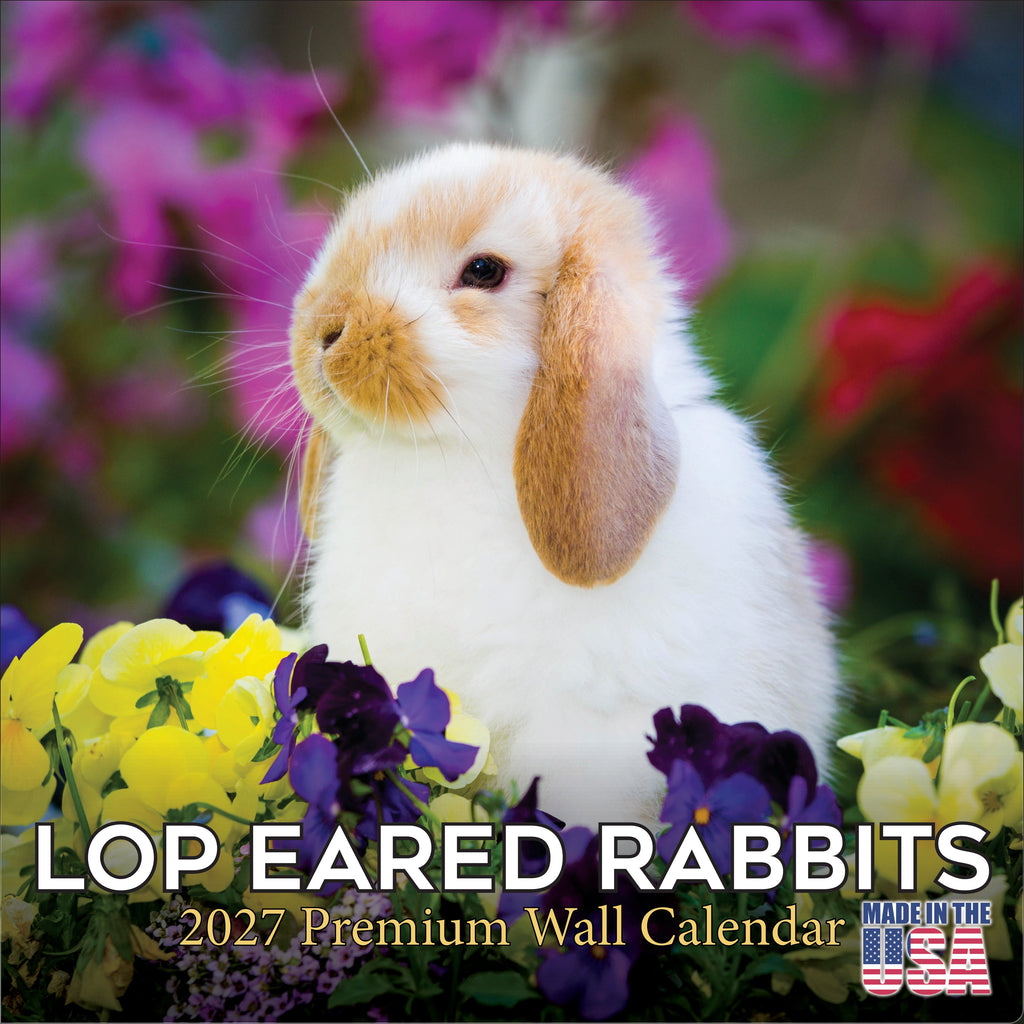 Lop Eared Rabbit Wall Calendar 2027 - 12" x 12" Monthly Fluffy Drop-Eared Bunnies & Cute Pet Rabbit Calendar