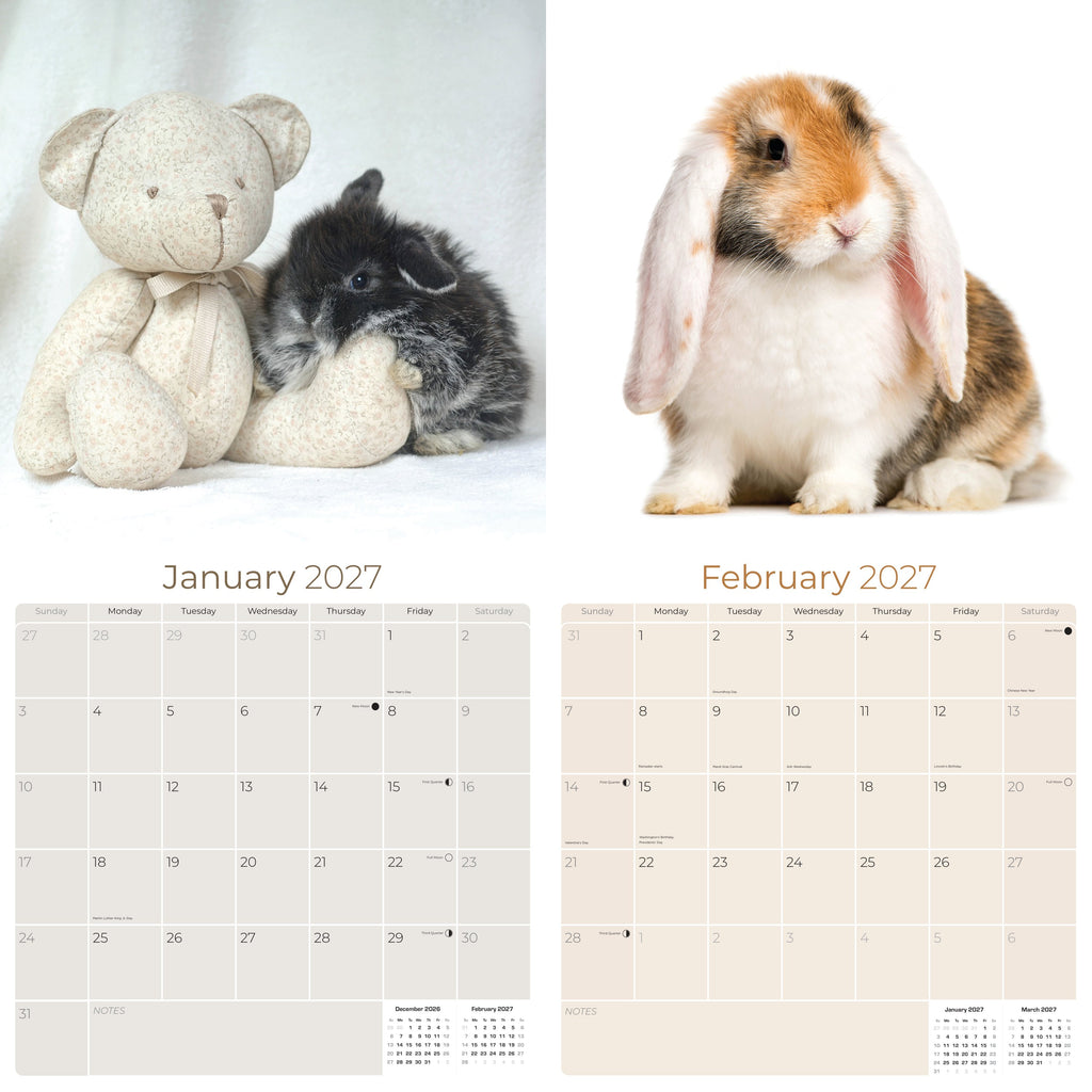 Lop Eared Rabbit Wall Calendar 2027 - 12" x 12" Monthly Fluffy Drop-Eared Bunnies & Cute Pet Rabbit Calendar