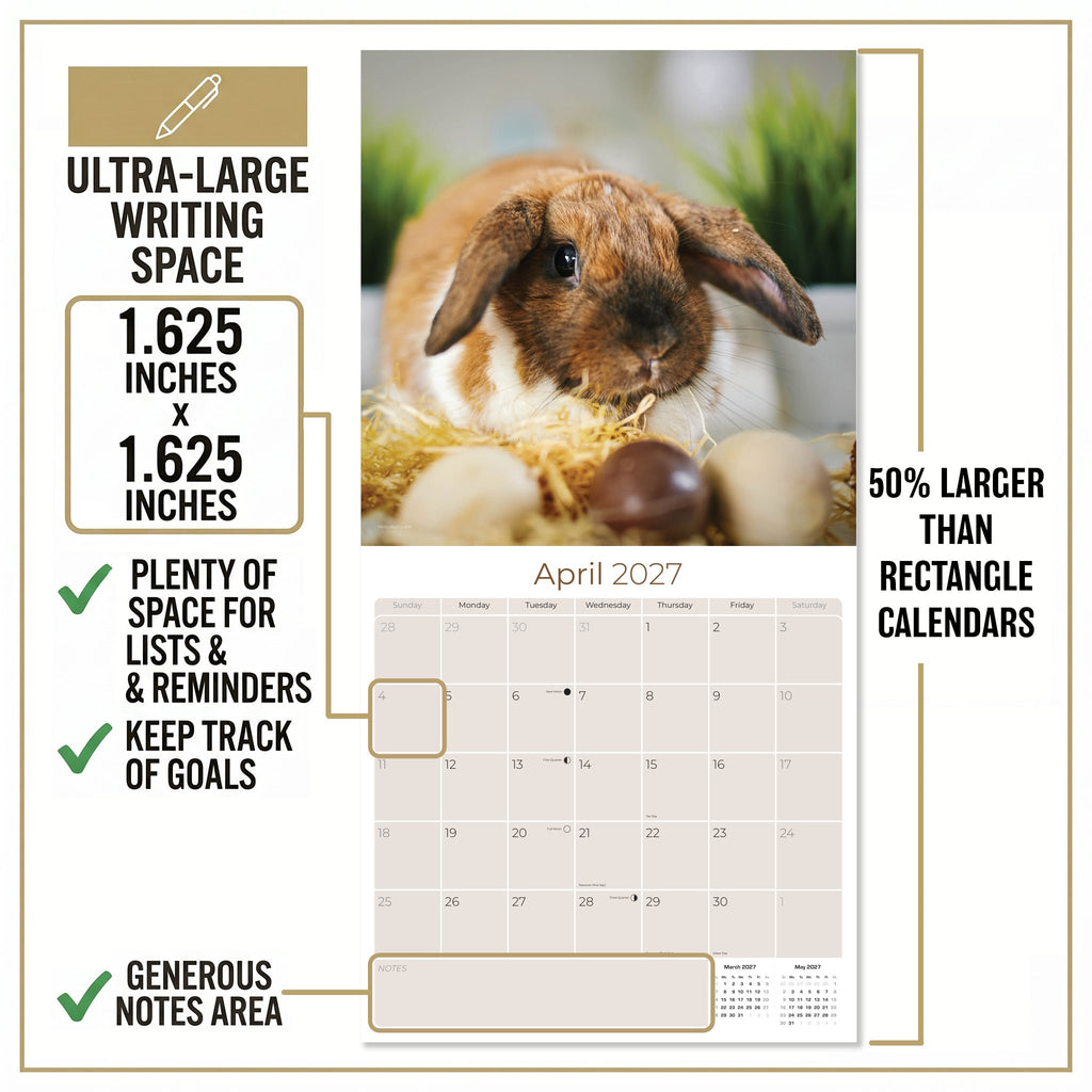 Lop Eared Rabbit Wall Calendar 2027 - 12" x 12" Monthly Fluffy Drop-Eared Bunnies & Cute Pet Rabbit Calendar