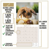 Lop Eared Rabbit Wall Calendar 2027 - 12" x 12" Monthly Fluffy Drop-Eared Bunnies & Cute Pet Rabbit Calendar