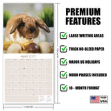 Lop Eared Rabbit Wall Calendar 2027 - 12" x 12" Monthly Fluffy Drop-Eared Bunnies & Cute Pet Rabbit Calendar