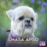 Lhasa Apso Wall Calendar 2027 - 12" x 12" Monthly Regal Long-Haired & Sentinel Tibetan Companion Calendar