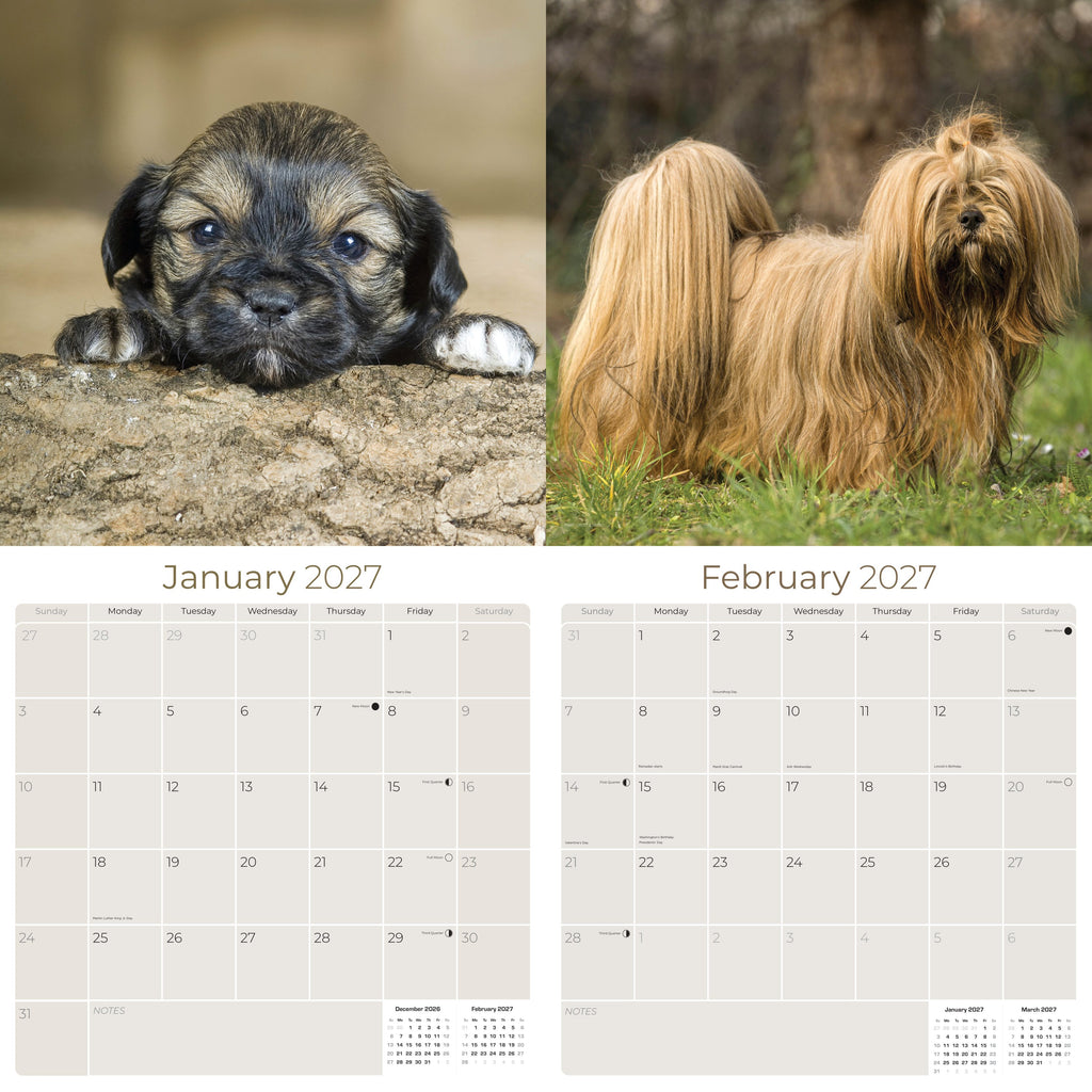 Lhasa Apso Wall Calendar 2027 - 12" x 12" Monthly Regal Long-Haired & Sentinel Tibetan Companion Calendar