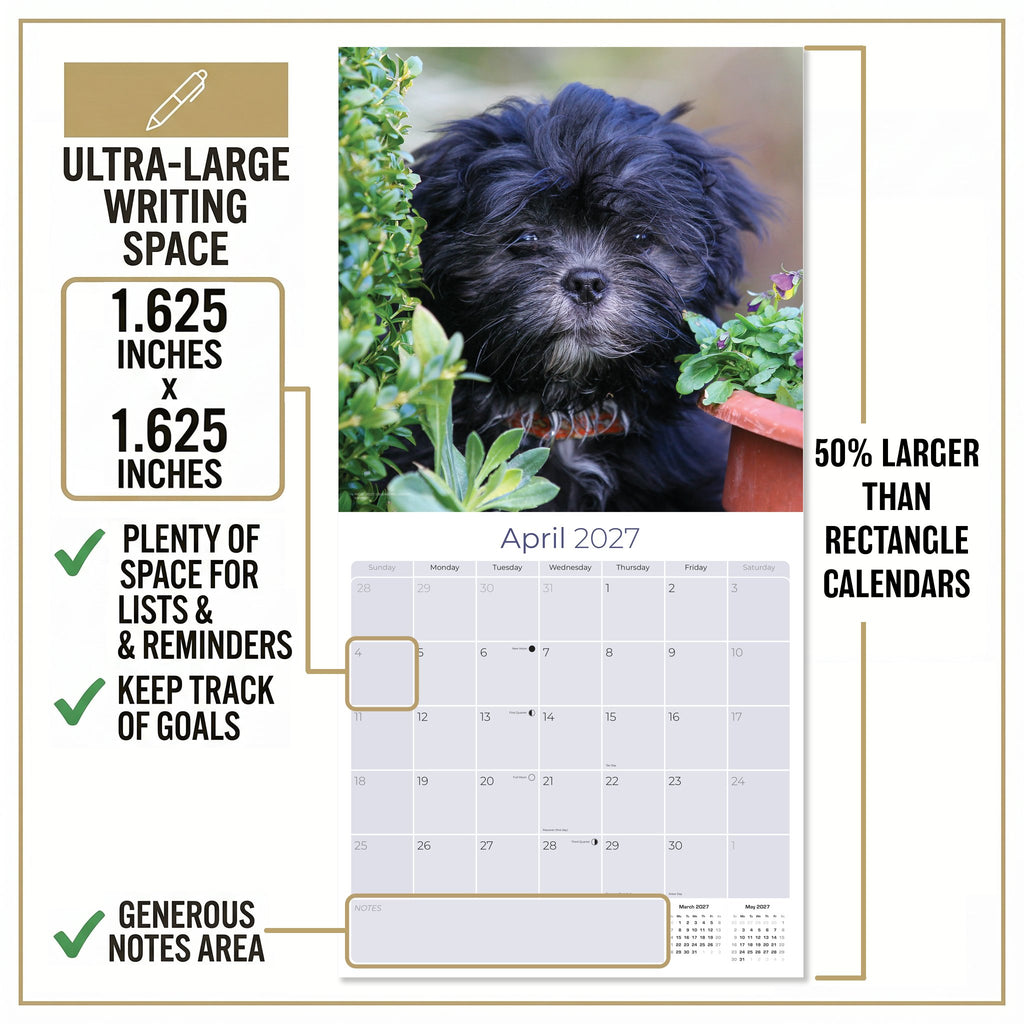 Lhasa Apso Wall Calendar 2027 - 12" x 12" Monthly Regal Long-Haired & Sentinel Tibetan Companion Calendar