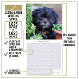 Lhasa Apso Wall Calendar 2027 - 12" x 12" Monthly Regal Long-Haired & Sentinel Tibetan Companion Calendar