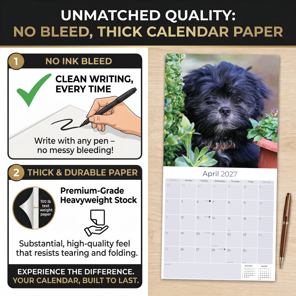 Lhasa Apso Wall Calendar 2027 - 12" x 12" Monthly Regal Long-Haired & Sentinel Tibetan Companion Calendar