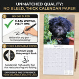 Lhasa Apso Wall Calendar 2027 - 12" x 12" Monthly Regal Long-Haired & Sentinel Tibetan Companion Calendar