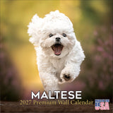 Maltese Wall Calendar 2027 - 12" x 12" Monthly Snow-White Silk Toy & Affectionate Lap Dog Calendar