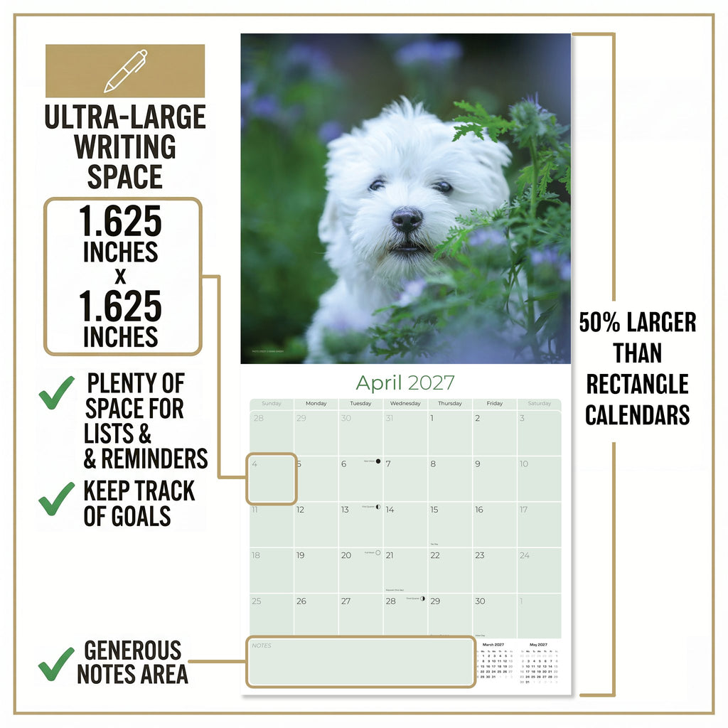 Maltese Wall Calendar 2027 - 12" x 12" Monthly Snow-White Silk Toy & Affectionate Lap Dog Calendar