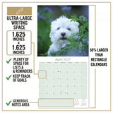 Maltese Wall Calendar 2027 - 12" x 12" Monthly Snow-White Silk Toy & Affectionate Lap Dog Calendar