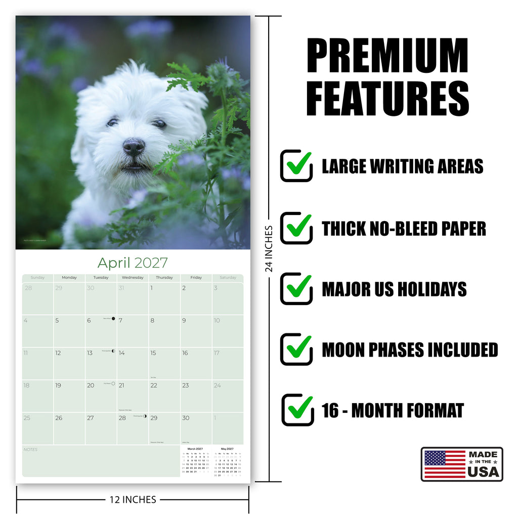 Maltese Wall Calendar 2027 - 12" x 12" Monthly Snow-White Silk Toy & Affectionate Lap Dog Calendar