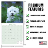 Maltese Wall Calendar 2027 - 12" x 12" Monthly Snow-White Silk Toy & Affectionate Lap Dog Calendar