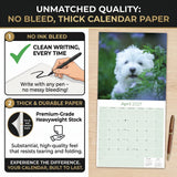 Maltese Wall Calendar 2027 - 12" x 12" Monthly Snow-White Silk Toy & Affectionate Lap Dog Calendar