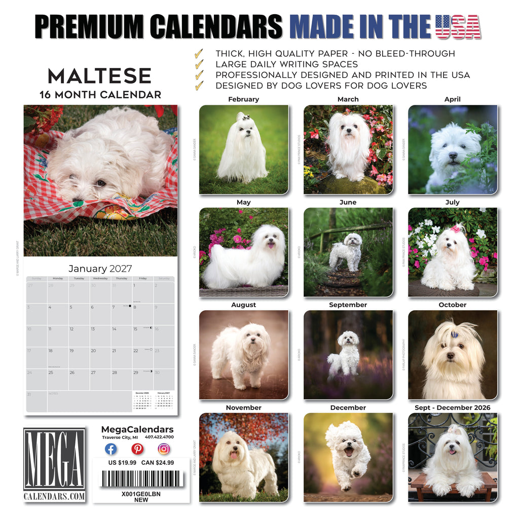 Maltese Wall Calendar 2027 - 12" x 12" Monthly Snow-White Silk Toy & Affectionate Lap Dog Calendar