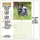 Norwegian Elkhound Wall Calendar 2027 - 12" x 12" Monthly Bold Silver-Grey & Viking Heritage Hound Calendar
