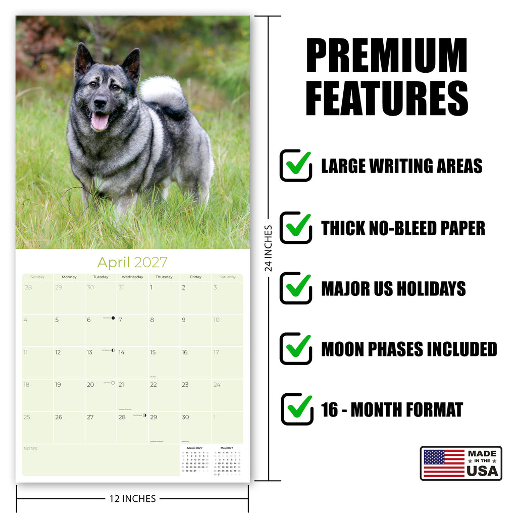 Norwegian Elkhound Wall Calendar 2027 - 12" x 12" Monthly Bold Silver-Grey & Viking Heritage Hound Calendar