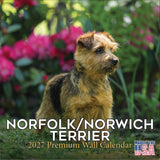 Norwich & Norfolk Terrier Wall Calendar 2027 - 12" x 12" Monthly Spirited Small & Wire Coat British Terrier Calendar