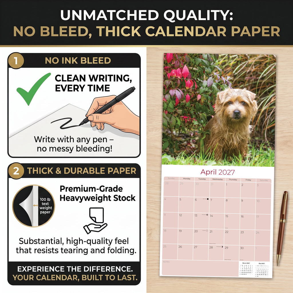 Norwich & Norfolk Terrier Wall Calendar 2027 - 12" x 12" Monthly Spirited Small & Wire Coat British Terrier Calendar