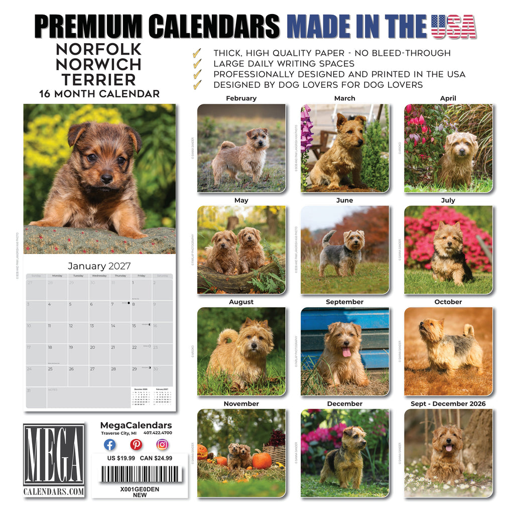 Norwich & Norfolk Terrier Wall Calendar 2027 - 12" x 12" Monthly Spirited Small & Wire Coat British Terrier Calendar