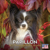 Papillon Wall Calendar 2027 - 12" x 12" Monthly Intelligent Butterfly Ear & Graceful Toy Spaniel Calendar