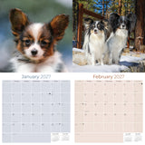 Papillon Wall Calendar 2027 - 12" x 12" Monthly Intelligent Butterfly Ear & Graceful Toy Spaniel Calendar