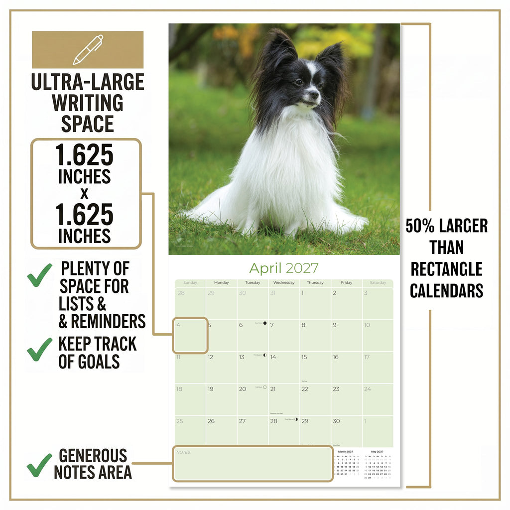Papillon Wall Calendar 2027 - 12" x 12" Monthly Intelligent Butterfly Ear & Graceful Toy Spaniel Calendar