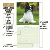 Papillon Wall Calendar 2027 - 12" x 12" Monthly Intelligent Butterfly Ear & Graceful Toy Spaniel Calendar
