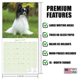 Papillon Wall Calendar 2027 - 12" x 12" Monthly Intelligent Butterfly Ear & Graceful Toy Spaniel Calendar