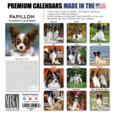 Papillon Wall Calendar 2027 - 12" x 12" Monthly Intelligent Butterfly Ear & Graceful Toy Spaniel Calendar