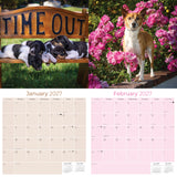 Rat Terrier Wall Calendar 2027 - 12" x 12" Monthly Alert & Energetic American Terrier Breed Calendar