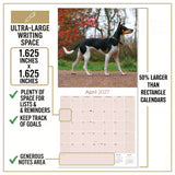 Rat Terrier Wall Calendar 2027 - 12" x 12" Monthly Alert & Energetic American Terrier Breed Calendar